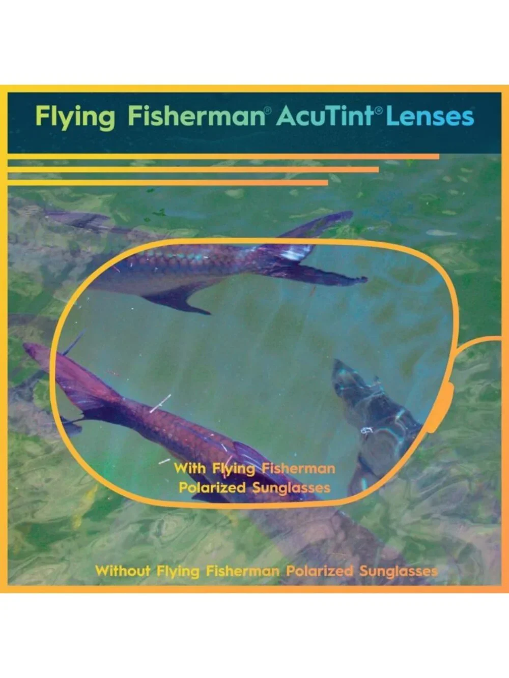 Polarized Fishing Sunglasses with 100% UV Protection | Lightweight & Stylish